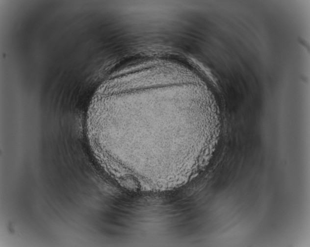 X0000094770065200712141607