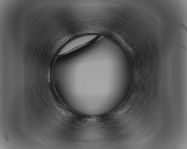 X0000094770068200712141607