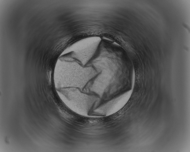 X0000094770070200712141607