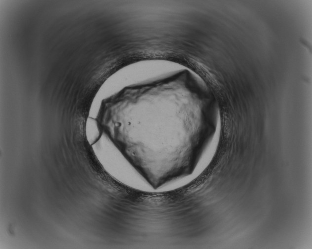 X0000094770071200712141607