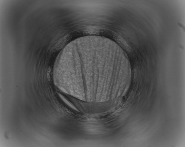 X0000094770073200712141607