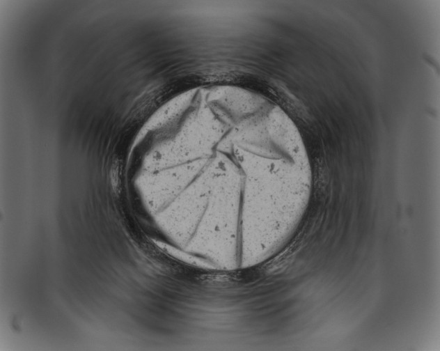 X0000094770074200712141607