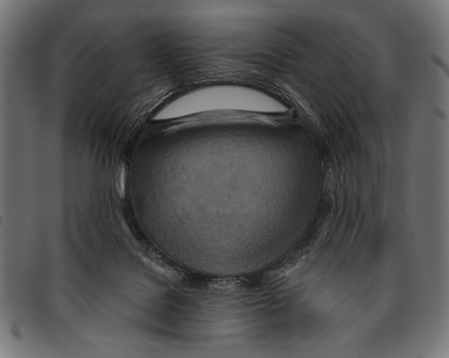 X0000094770076200712141607