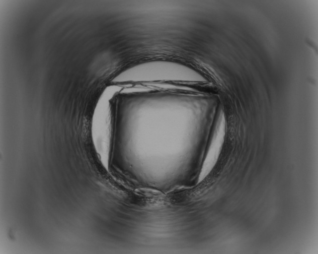 X0000094770077200712141607