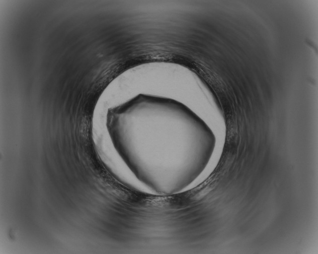 X0000094770078200712141607