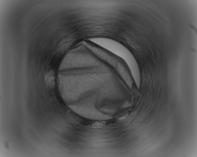 X0000094770080200712141607