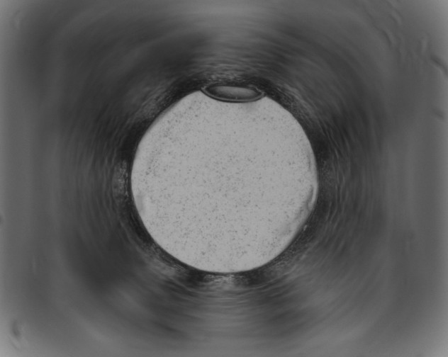 X0000094770083200712141607