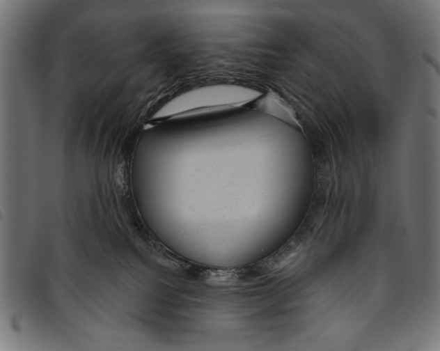 X0000094770088200712141607