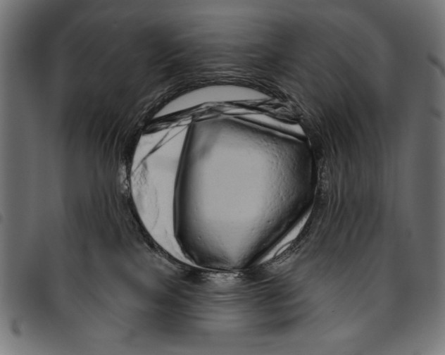 X0000094770089200712141607