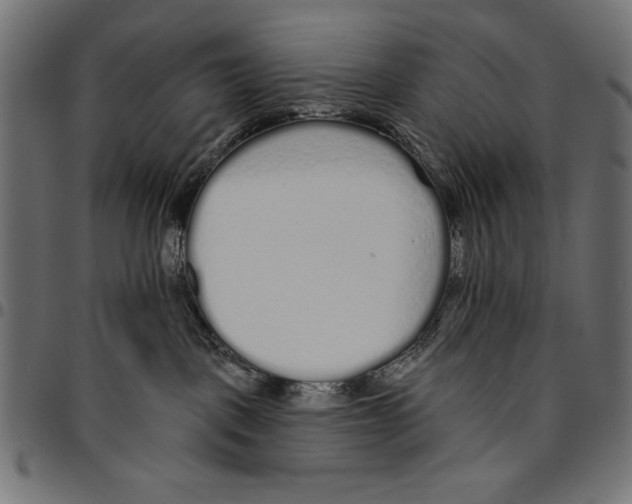 X0000094770093200712141607