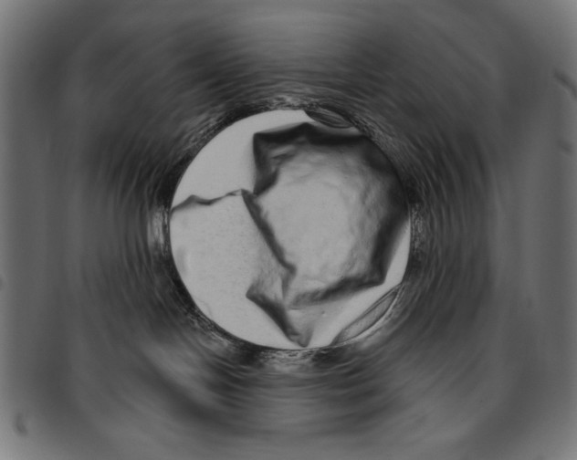 X0000094770094200712141607