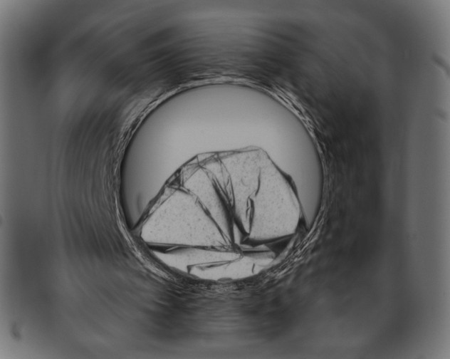 X0000094770097200712141606