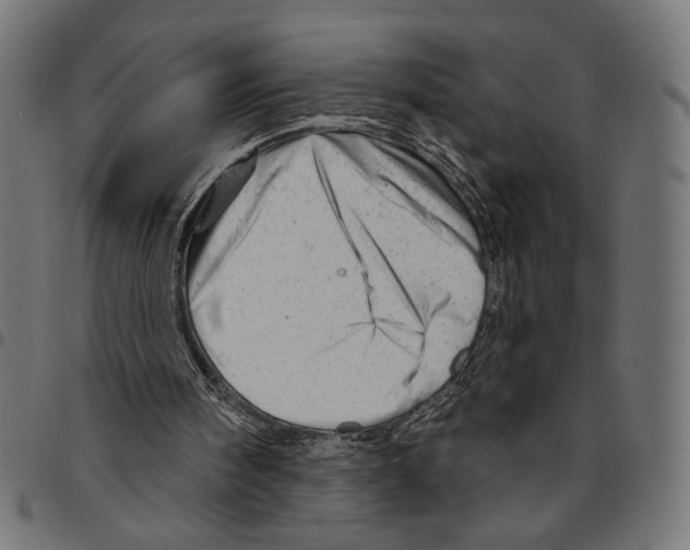 X0000094770098200712141606