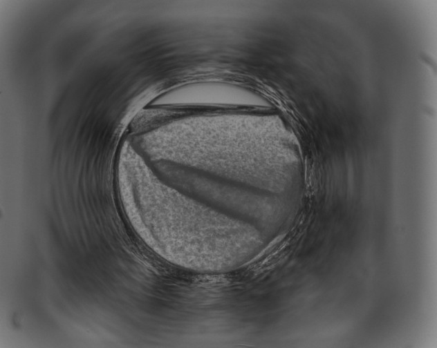 X0000094770099200712141606