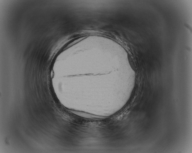 X0000094770103200712141606