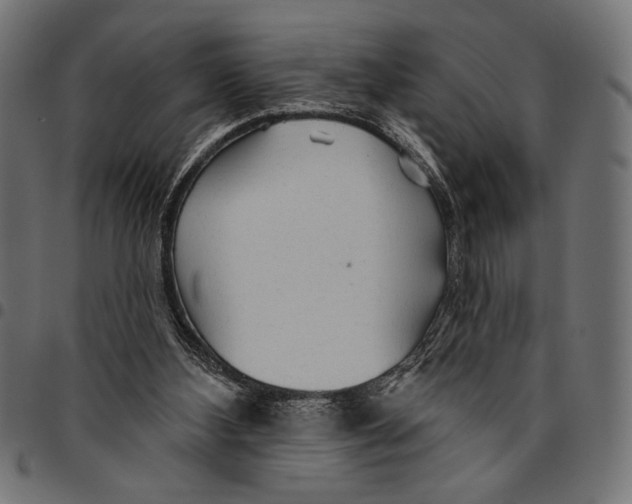 X0000094770108200712141606