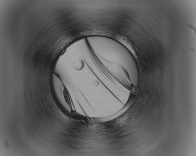 X0000094770109200712141606