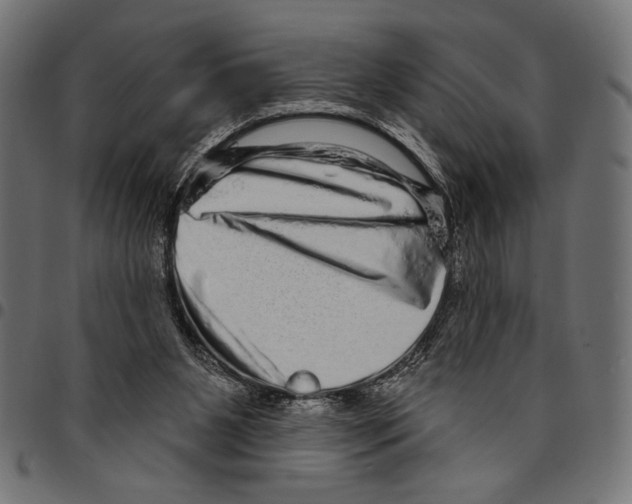 X0000094770111200712141606