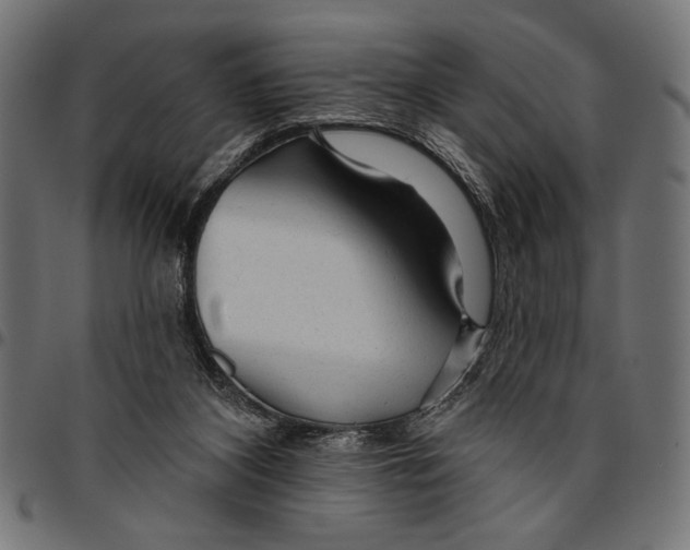 X0000094770116200712141606