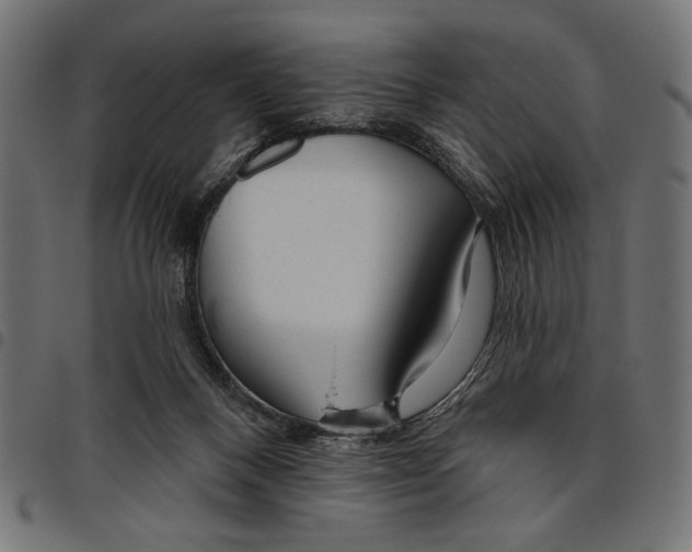 X0000094770120200712141606