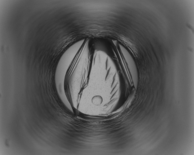 X0000094770121200712141606