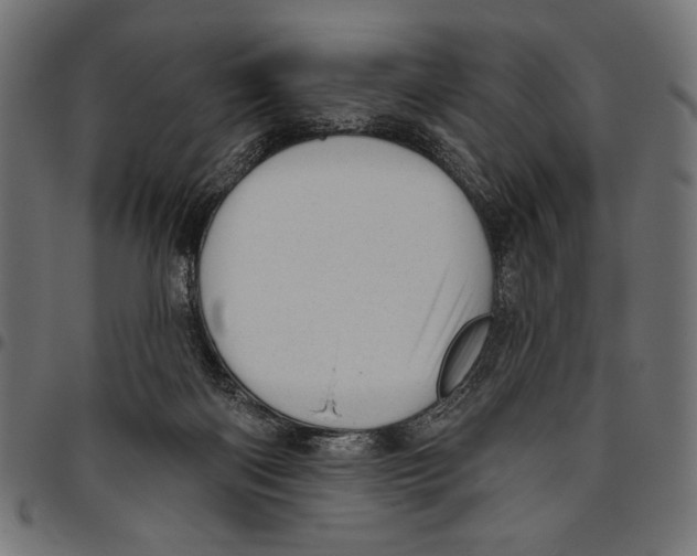 X0000094770122200712141606