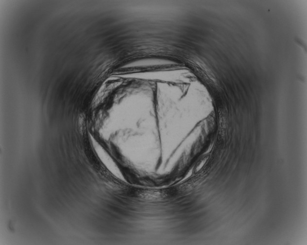 X0000094770123200712141606