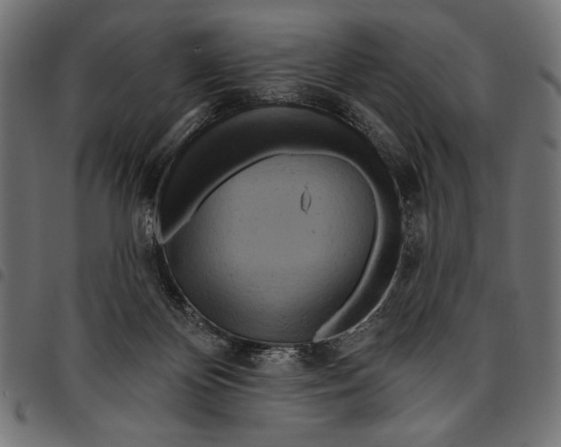 X0000094770124200712141606