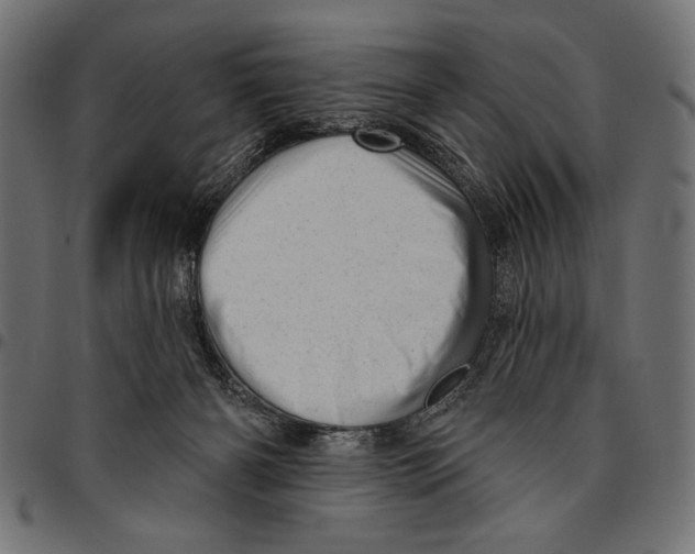 X0000094770126200712141606