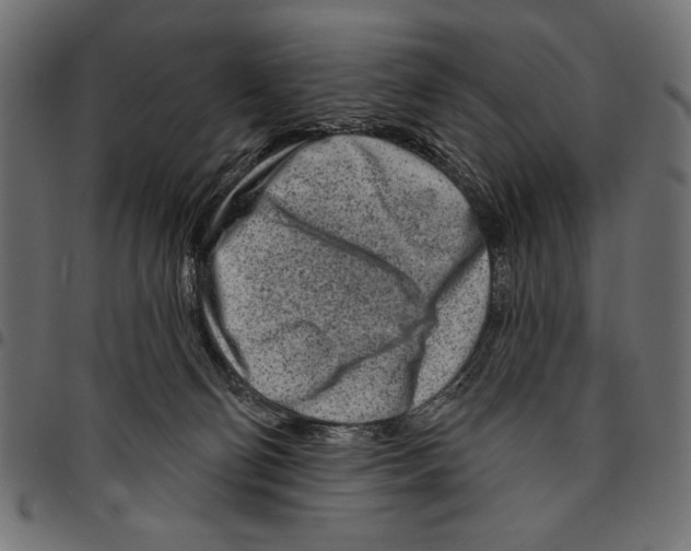 X0000094770130200712141606