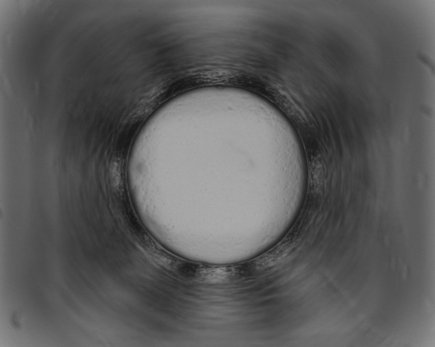 X0000094770131200712141606