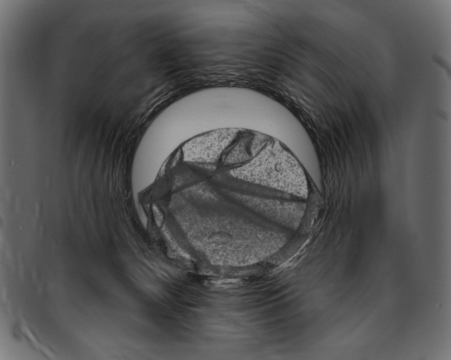 X0000094770132200712141606