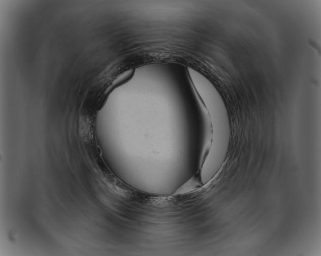 X0000094770136200712141606