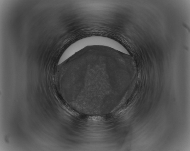 X0000094770137200712141606