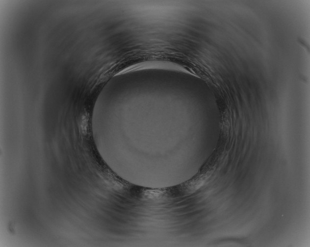 X0000094770139200712141606