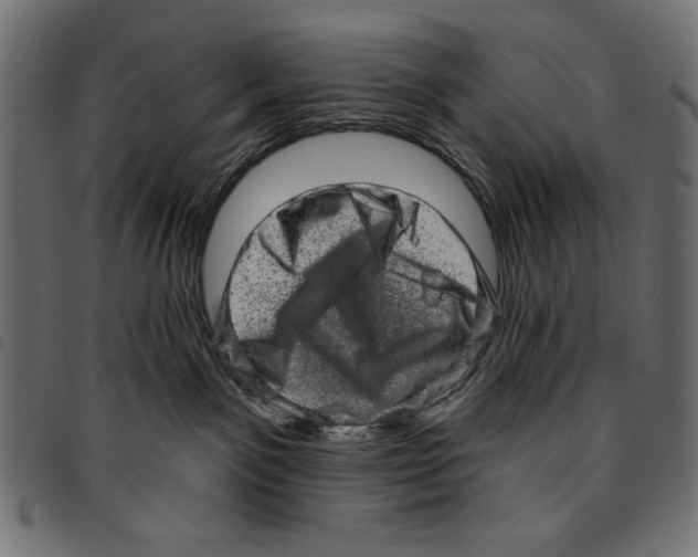 X0000094770141200712141606