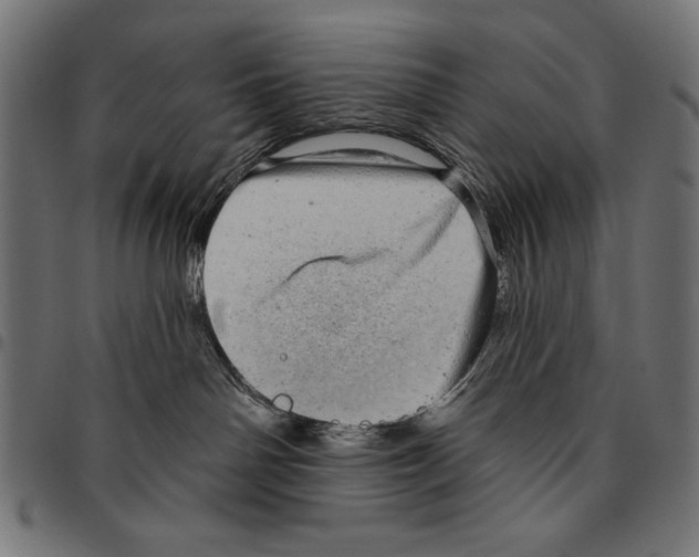 X0000094770142200712141606