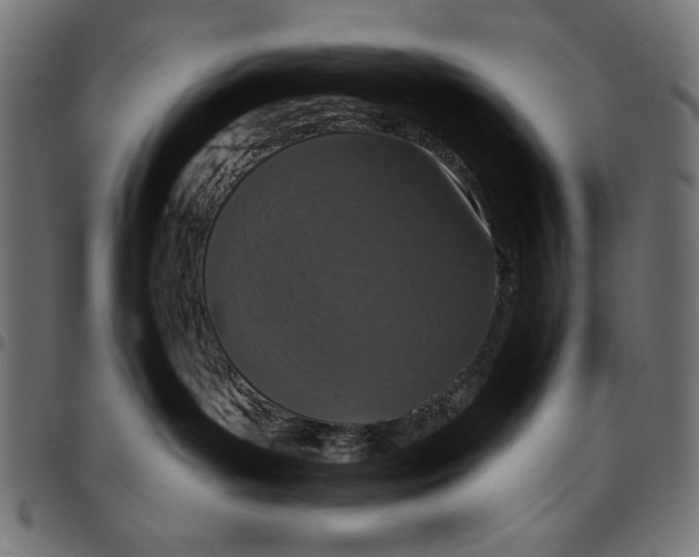 X0000094770143200712141606