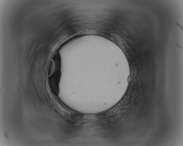 X0000094770145200712141605