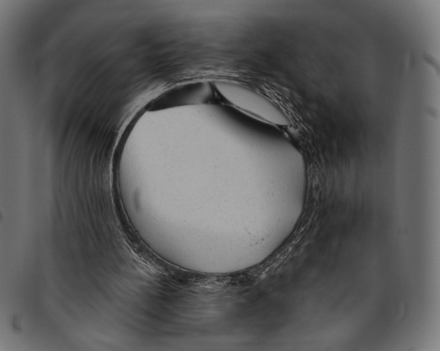 X0000094770148200712141605