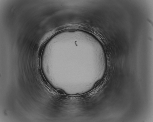 X0000094770149200712141605