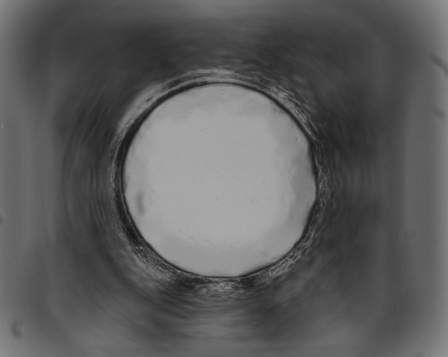 X0000094770151200712141605