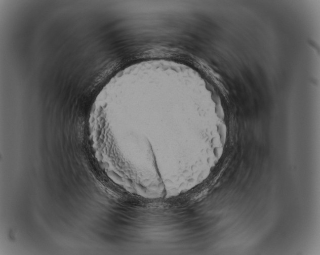 X0000094770153200712141605