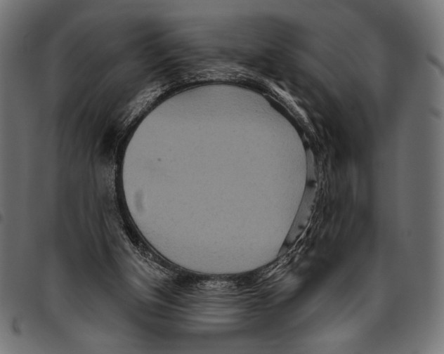 X0000094770154200712141605