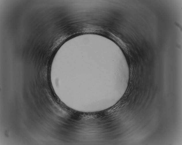 X0000094770155200712141605