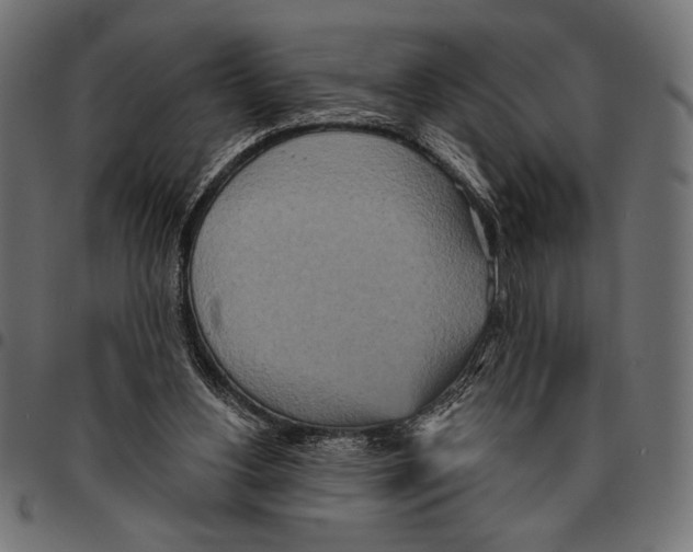 X0000094770156200712141605