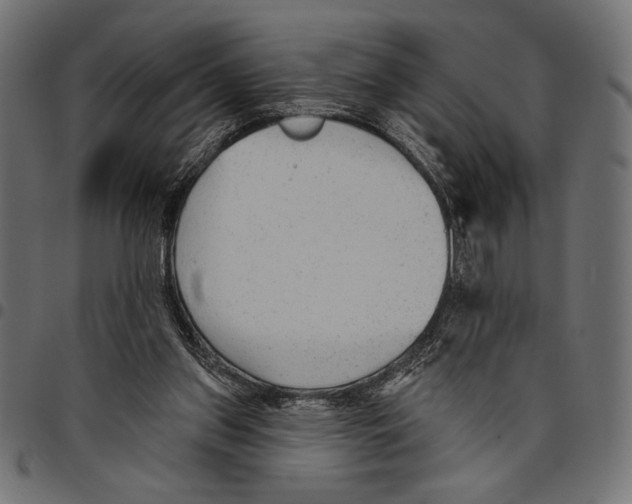 X0000094770157200712141605