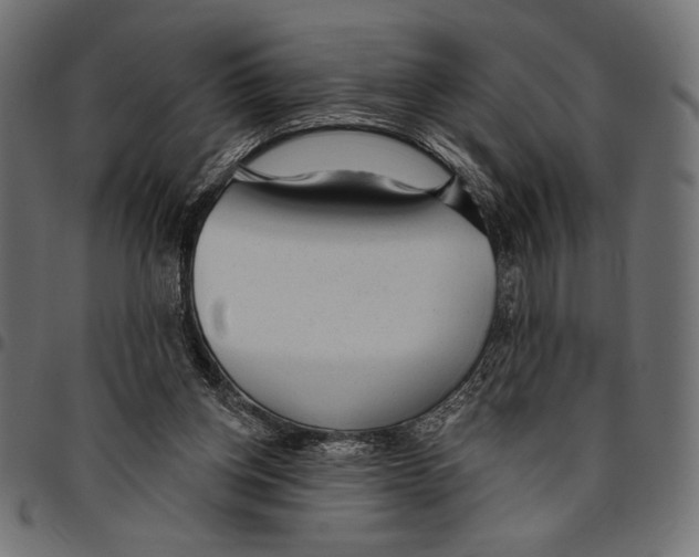 X0000094770158200712141605