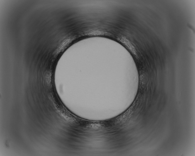 X0000094770159200712141605