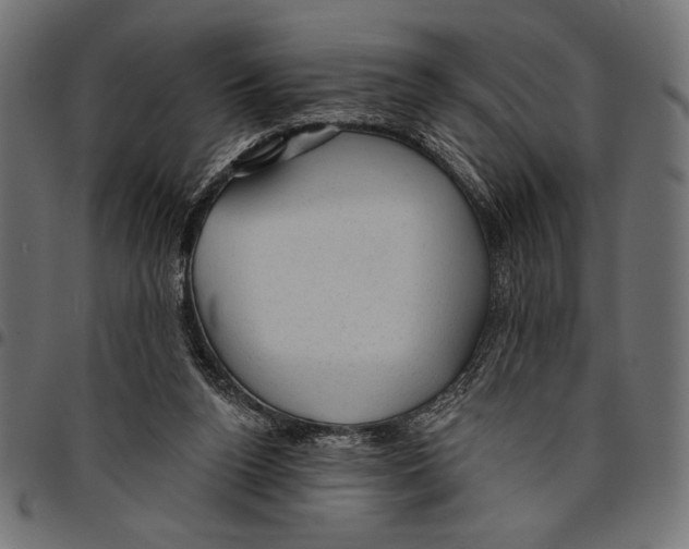 X0000094770160200712141605